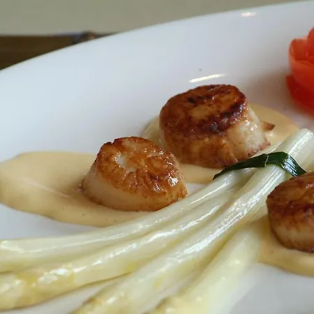 Szálloda Sint-laureins 2*